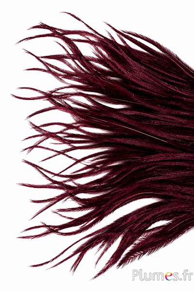 Struzzo barbules - 8-15 cm - bordeaux